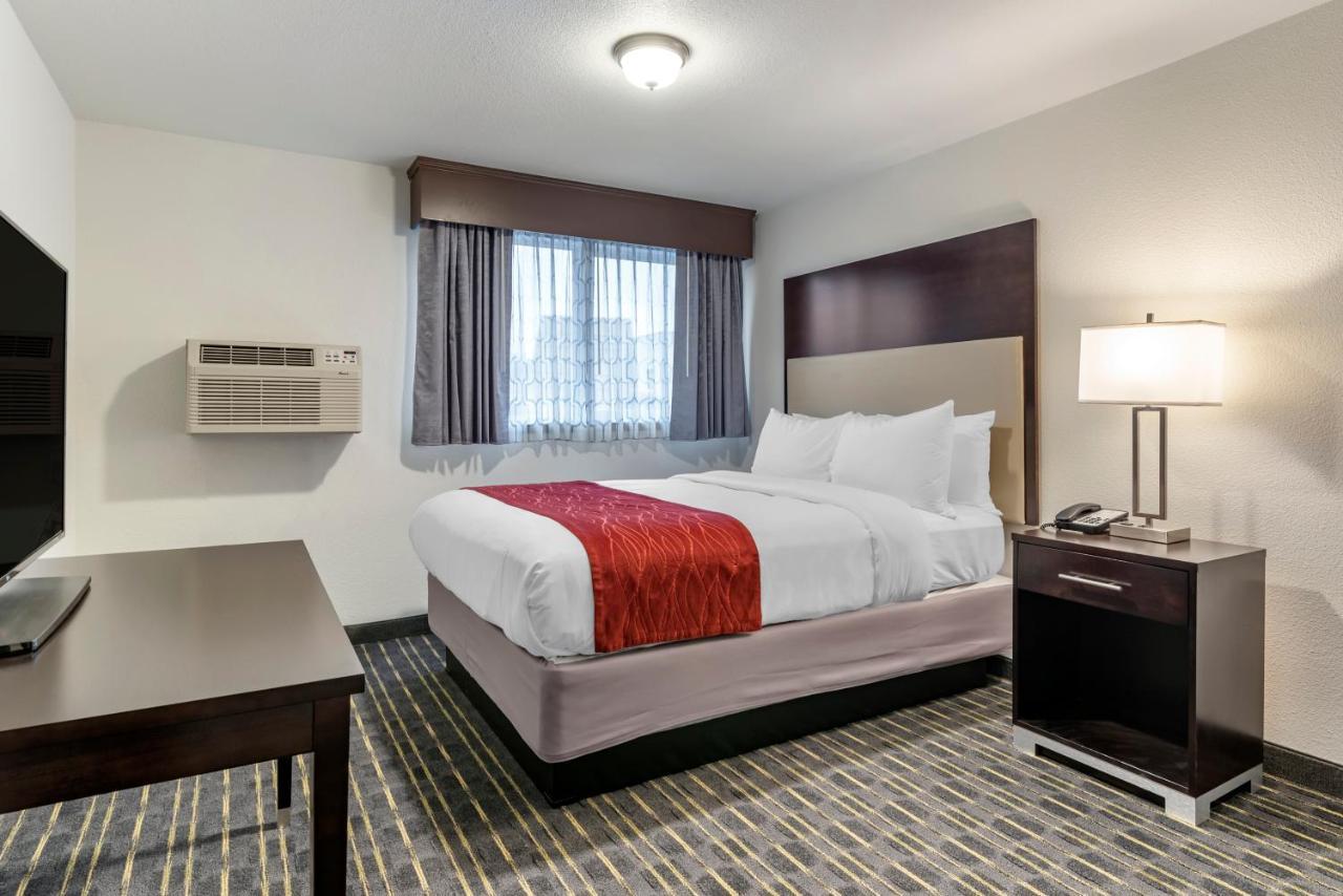 Comfort Inn & Suites Tigard Near Washington Square Экстерьер фото